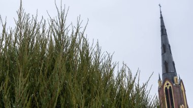 Bulutlu bir gökyüzüne ve bir kilisenin yüksek kulesine karşı yeşil bir arborvitae yakın çekim. Mesaj için yer var. Din kavramları.