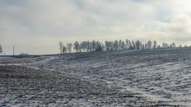 Kış manzarasında güzel ağaçlar dramatik gökyüzü arka planında kar yağışı. Sahada gökyüzüne karşı donmuş ağaçlar. Kış dönemi. Metin için boşluk.