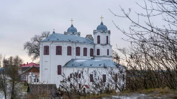 Die Katholische Kirche Mariä Himmelfahrt Die Anfang Des Jahrhunderts Karmeliterkloster — Stockfoto