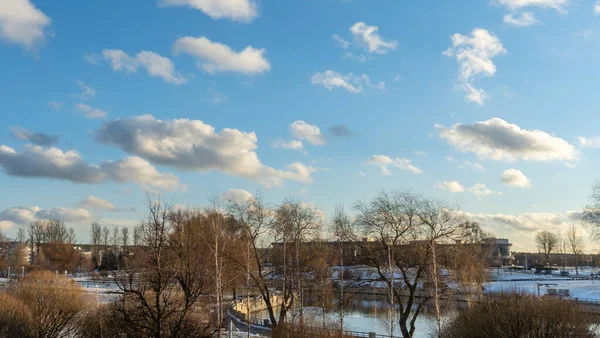 Een Jong Stadspark Tegen Een Felblauwe Lucht Met Wolken Stedelijk — Stockfoto