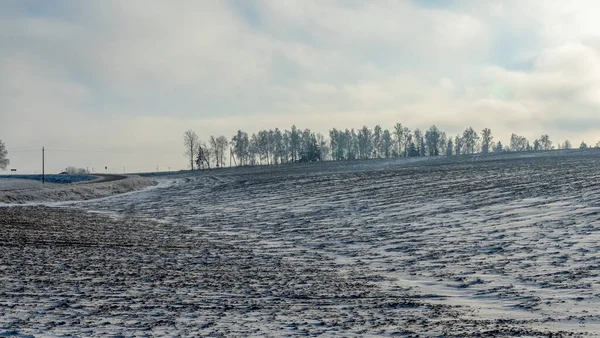 Vackra Träd Vinterlandskapet Snöfall Dramatisk Himmel Bakgrund Frostade Träd Fältet — Stockfoto