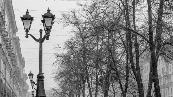 Farola Vista Contra Árboles Desnudos Durante Día Una Noche Invierno —  Fotos de Stock