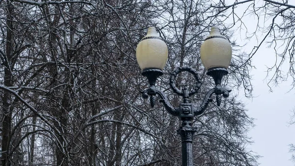 Utcai Lámpa Látható Ellen Csupasz Fák Nappal Egy Téli Estén — Stock Fotó