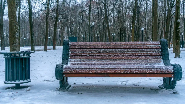 Magányos Pad Városligetben Télen Hóval Borított Pad Parkban Padot Földet — Stock Fotó