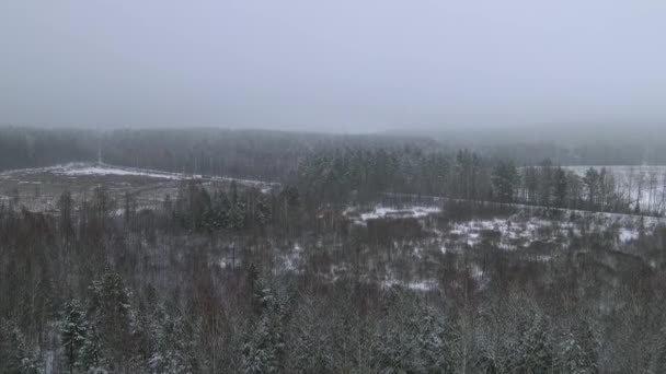 Podnoszenie Drona Nad Wierzchołkami Pokrytego Śniegiem Lasu Widok Wierzchołki Drzew — Wideo stockowe