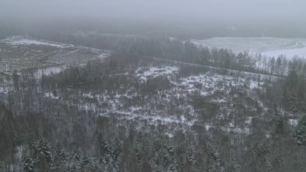 Panorama Från Ovan Snötäckt Skog Gräsmattor Och Frusen Sjö Dimma — Stockvideo