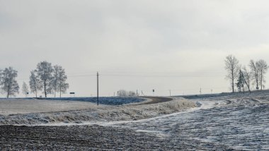 Kış manzarasında güzel ağaçlar dramatik gökyüzü arka planında kar yağışı. Sahada gökyüzüne karşı donmuş ağaçlar. Kış dönemi. Metin için boşluk.