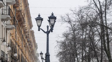Bir kış akşamında çıplak ağaçlarda görülen sokak lambası. Sokak feneri ve yapraksız çıplak ağaç. Ruh hali kavramları. Metin için boşluk.