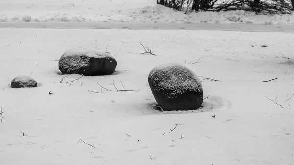 Černobílá Fotografie Kamenů Pokrytých Sněhem Skalnaté Zahradě Kameny Sněhem Ledem — Stock fotografie