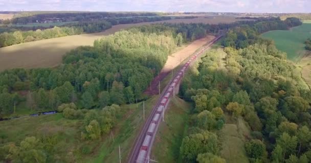 Аерофотозйомка Вантажного Поїзда Полі Вантажний Довгий Поїзд Перевозить Вантажні Вагони — стокове відео