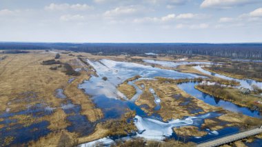 Nehrin, köprünün ve ormanın taşkın manzarası. Baharın erken saatlerinde yüksek su. Doğa arkaplanı.