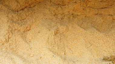 Talaş dokusu ve dizayn için arka plan. Kereste endüstrisi. Nesne arkaplanı.