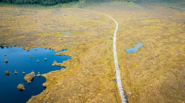 Ökologischer Pfad Sumpf Verlegte Holzstege Hintergrund Natur — Stockfoto