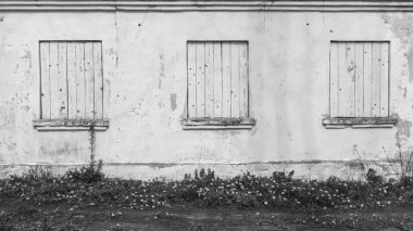 Kapalı pencereli beyaz ahşap duvar çatlakları ve eski boya dokusuyla. Tasarımın için arka plan. Metin için boşluk.