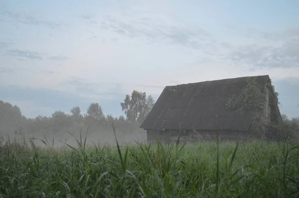 Винтажный Старый Дом Тумане Фоне Природы Луг Зеленой Травой Тумане — стоковое фото