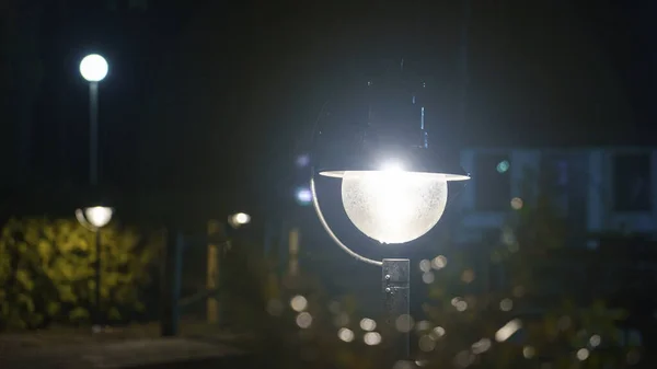 背景是小布什的那道微光 魔法街灯与复制空间紧密相连 夜间背景上温暖的灯笼灯 自然背景 — 图库照片