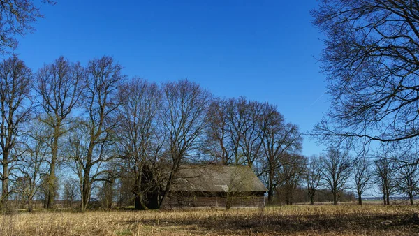 Una Casa Rústica Abandonada Sobre Fondo Árboles Ramas Concepto Campo — Foto de Stock