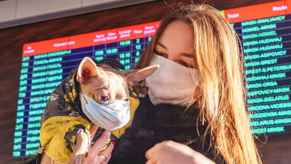 Γυναίκα Προστατευτική Χειρουργική Μάσκα Κρατά Κατοικίδιο Σκυλί Μάσκα Προσώπου Κινέζικη — Φωτογραφία Αρχείου