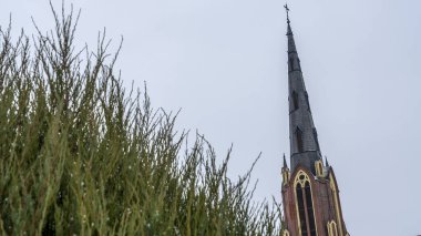 Bulutlu bir gökyüzüne ve bir kilisenin yüksek kulesine karşı yeşil bir arborvitae yakın çekim. Mesaj için yer var. Din kavramları.