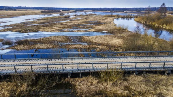 森の洪水の上のビュー 早春の高水 自然背景 — ストック写真