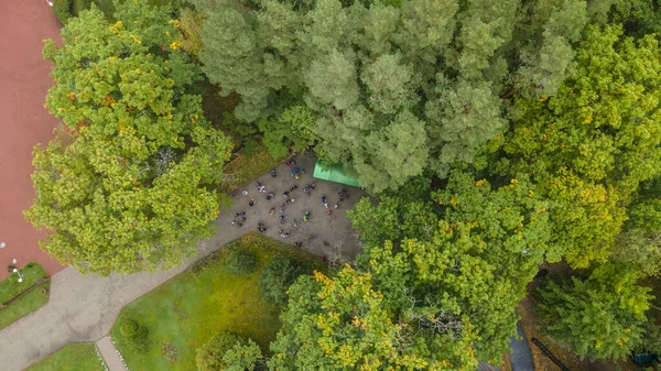 Padiglione Fermata Dell Autobus Una Strada Forestale Gente Sale Sull — Foto Stock