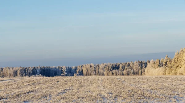 Vinter Jordbrukslandskap Landskap Snö Med Träd Bakgrunden Vinterlandskap Med Snötäckt — Stockfoto