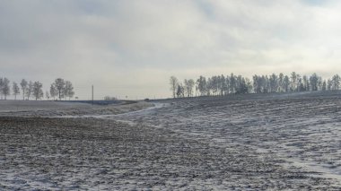 Kış manzarasında güzel ağaçlar dramatik gökyüzü arka planında kar yağışı. Sahada gökyüzüne karşı donmuş ağaçlar. Kış dönemi. Metin için boşluk.