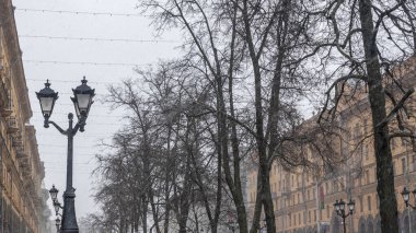Bir kış akşamında çıplak ağaçlarda görülen sokak lambası. Sokak feneri ve yapraksız çıplak ağaç. Ruh hali kavramları. Metin için boşluk.