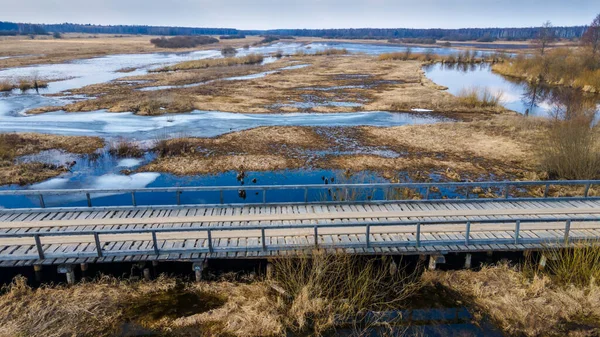 森の洪水の上のビュー 早春の高水 自然背景 — ストック写真