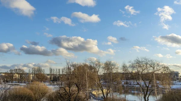 Giovane Parco Cittadino Contro Cielo Azzurro Brillante Con Nuvole Paesaggio — Foto Stock