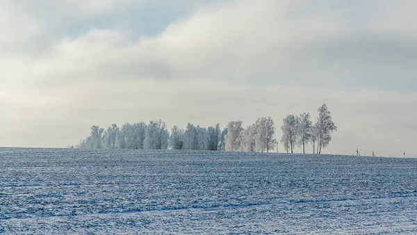 Piękne Drzewa Zimowym Krajobrazie Śniegu Dramatycznym Tle Nieba Mrożone Drzewa — Zdjęcie stockowe