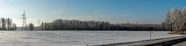 Заднем Плане Высоковольтный Электропилон Снежном Поле Деревьями Высоковольтные Столбы Голубом — стоковое фото