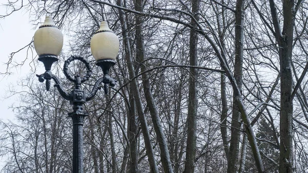 Utcai Lámpa Látható Ellen Csupasz Fák Nappal Egy Téli Estén — Stock Fotó