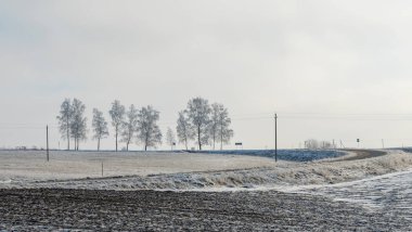 Kış manzarasında güzel ağaçlar dramatik gökyüzü arka planında kar yağışı. Sahada gökyüzüne karşı donmuş ağaçlar. Kış dönemi. Metin için boşluk.