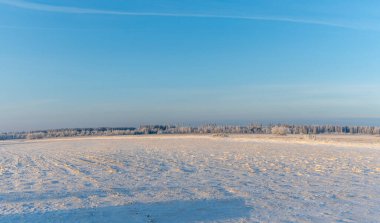 Arkasında ağaçlar olan kar altında kış tarım arazisi manzarası. Kırsalda karla kaplı kış manzarası. Metin için boşluk.