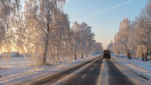 Tractor Trailer Picturesque Rural Road Sunset Sides Road Beautiful Trees — Stock Photo, Image