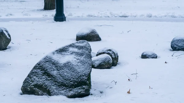 Hóval Borított Kövek Egy Sziklás Kertben Hóval Jéggel Borított Kövek — Stock Fotó