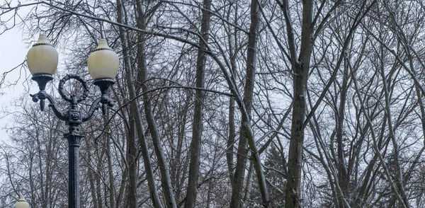 Utcai Lámpa Látható Ellen Csupasz Fák Nappal Egy Téli Estén — Stock Fotó