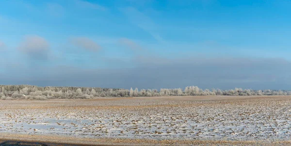 Zimowy Krajobraz Rolniczy Pod Śniegiem Drzewami Tle Zimowy Krajobraz Śnieżnym — Zdjęcie stockowe