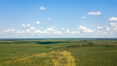 Yeşil önlük ve mavi gökyüzünün havadan görünüşü. Doku ve güzel bir geçmişi var. Narure teması.