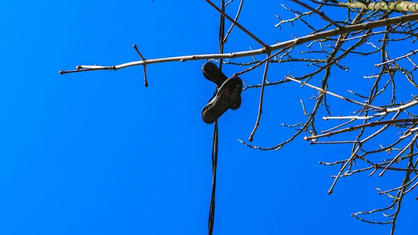 電源ケーブルにぶら下がっているスポーツシューズ 古いスニーカーのペアは 電線にかかっている 古典的な青空の背景 テーマ — ストック写真