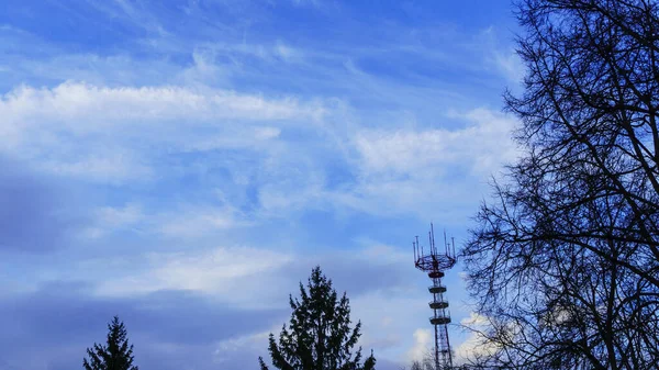 Μεγάλη Τηλεόραση Και Ραδιοφωνικός Πύργος Και Δέντρα Στο Κλασικό Μπλε — Φωτογραφία Αρχείου