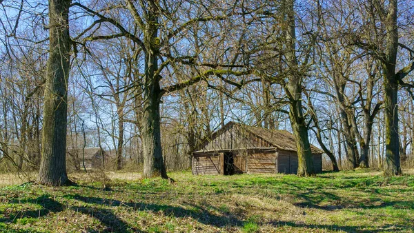 Imagen Horizontal Una Antigua Casa Rústica Abandonada Árboles Concepto Campo — Foto de Stock