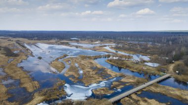 Nehrin, köprünün ve ormanın taşkın manzarası. Baharın erken saatlerinde yüksek su. Doğa arkaplanı.