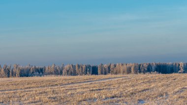 Arkasında ağaçlar olan kar altında kış tarım arazisi manzarası. Kırsalda karla kaplı kış manzarası. Metin için boşluk.