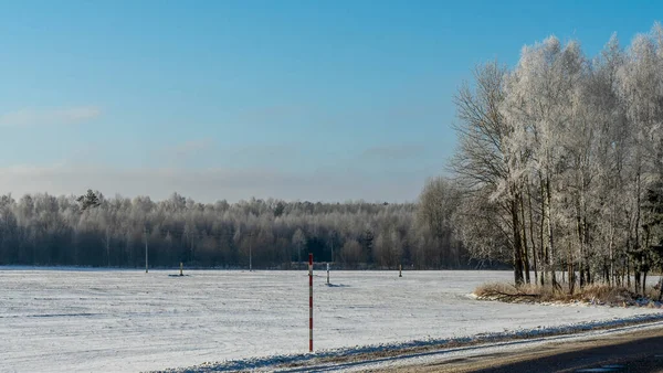 Birch Trees Hoarfrost Winter Daytime Snow Covered Field Some Bare — Stock Photo, Image