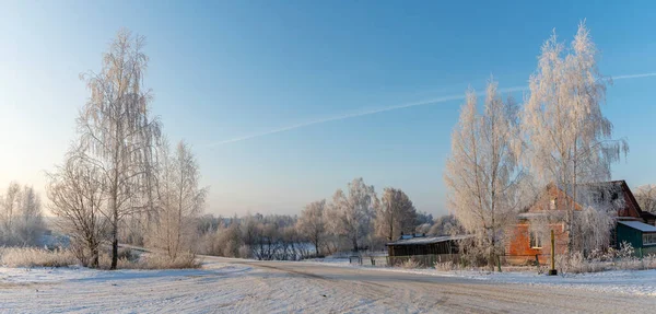 Village House Birch Trees Hoarfrost Winter Daytime Snow Covered Field — Stock Photo, Image