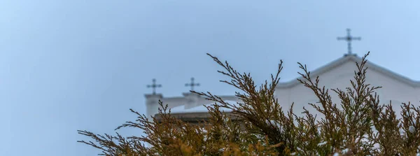 劇的な空の背景にジュニパーツリーの枝を横断して寺院のドームの眺め 宗教の概念 テキストのスペース — ストック写真