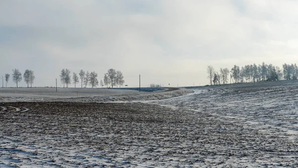 Vackra Träd Vinterlandskapet Snöfall Dramatisk Himmel Bakgrund Frostade Träd Fältet — Stockfoto