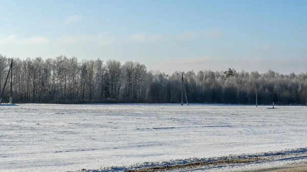 Droga Zimowa Bieguny Energetyczne Przewodami Dużo Śniegu Polu Droga Asfaltowa — Zdjęcie stockowe